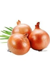 Tohum Kışlık Kuru Soğan Tohumu Yerli Tohum 50 Adet thumbnail 1