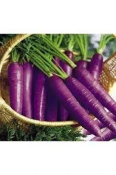 100 Adet Tohum Esvet Mor Havuç Şalgam Tohumu Süpriz Hediye Tohum Siyah Havuç Şalgamlık Havuç Tohum thumbnail 3