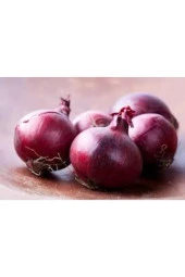 50 Adet Tohum Nadir Ithal Mor Soğan Tohumu Sebze Tohumu thumbnail 3
