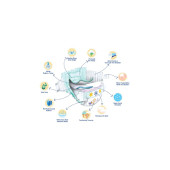 EVY BABY BEBEK BEZİ 4 NUMARA - 4