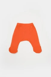 Organik Modal 4 lü Set csym26506 - 6