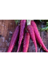 Doğal Mor Havuç Tohumu (200 Tohum) thumbnail 1