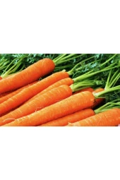 Nantes Havuç Tohumu (200 Tohum) thumbnail 1