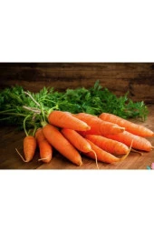 Nantes Havuç Tohumu (200 Tohum) thumbnail 2