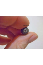 Mavi Lotus Tohumu thumbnail 3