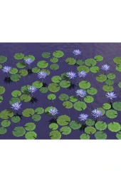 Mavi Lotus Çiçeği Tohumu & Nelumbo Tropikal Çiçek Tohumları (2 Adet Tohum) thumbnail 3