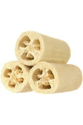 Eko Paket 20 Adet Tohum Nadir Ithal Lif Kabağı Tohumu Kabak Tohumu thumbnail 1