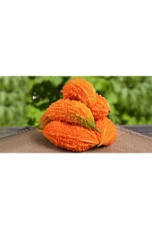 Süper Paket 25 Tohum Nadir Ithal Kudret Narı Tohumu Cennet Meyvesi thumbnail 1