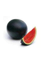 Süper Paket 300 Adet Tohum Ithal Nadir Halep Karası Karpuz Tohumu Halep Karpuzu thumbnail 1