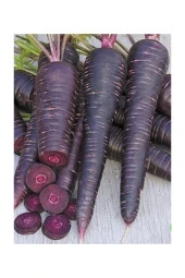 Siyah Havuç Tohumu Şalgamlık 100 Adet - 1