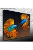 Beta Balıkları Canvas Tablo (50x70) - 1