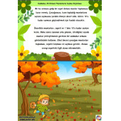 Hayvanlarla Kodlama Eğitim Seti - 4