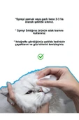 KorPet Kedi Köpek Göz Çapak Temizleyici Akıntı Arındırıcı Solüsyon Sprey 100 ml thumbnail 2