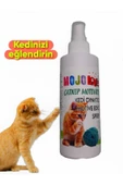 KorPet Doğal Catnip Kedi Oyun Spreyi Kedi Nane Suyu Kedi oynatıcı Sprey 125 ml thumbnail 1