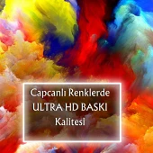 Renkli Kedi Posteri, Premium Baskı Poster, Statik Akıllı Kağıt, Kedili Poster (Yapay Zeka Tasarım) thumbnail 6