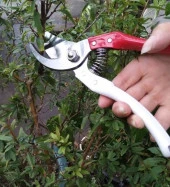 Budama Makası 210 Mm Yedek Yaylı Metal Saplı Budama Makası 21 Cm Boyunda - 4