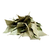Doğan Baharatçılık Defne Yaprağı 1 Kg Doğal Saf Kiloluk Paket - 2
