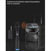 TechTic Vhf Kablosuz Mikrofon Profosyonel Cami Okul Otobüs Sunum Düğün Alıcılı El Mikrofonu Karaoke - 9