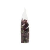 Ekinezya Çiçeği Tomurcuk - 2