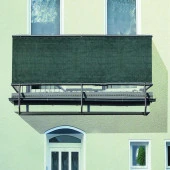 Balkon ve Bahçe Çit Örtüsü 5 Metre X 80 CM thumbnail 2