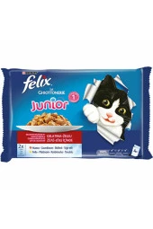 Yavru Kedi Maması Tavuklu Ve Sığır Etli 4 Adet - 1