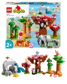 Lego Duplo Vahşi Asya Hayvanları 10974 - 3