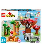 Lego Duplo Vahşi Asya Hayvanları 10974 - 1