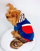 Neo Tommie Kapşonlu Köpek Sweatshirt Köpek Kıyafeti Köpek Elbisesi - 1