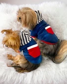 Neo Tommie Kapşonlu Köpek Sweatshirt Köpek Kıyafeti Köpek Elbisesi - 5