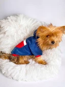 Neo Tommie Kapşonlu Köpek Sweatshirt Köpek Kıyafeti Köpek Elbisesi - 2