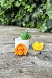 Juvenna Sukulent Mum Kalıbı (Silikon) (1 Adet) thumbnail 4