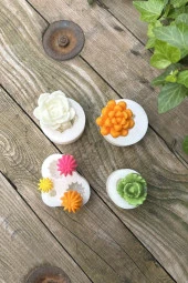 Kaktüs Set-2 Mum Kalıpları ( 4 Adet Kalıp ) ( Silikon ) 1 Adet thumbnail 5