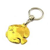 Discus Balık Anahtarlık - Gold Görünümlü - 1