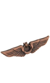 Pilot Bröve Rozet ( Bakır Oksit ) - 2