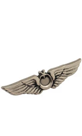Pilot Bröve Rozet ( Nikel Oksit ) - 2