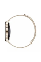 Huawei Huaweı Watch Gt3 Elegant 42mm (GOLD) - 6