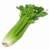 Çanakkale Kereviz Tohumu (10 gram) - 1