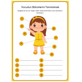 Çocuklar İçin ANATOMİ Öğreten YAZ-SİL Kitabı - 3