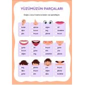 Çocuklar İçin ANATOMİ Öğreten YAZ-SİL Kitabı - 6