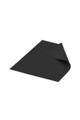 Thermal Grizzly Carbonaut Termal Ped 25 x 25 - 0.2 mm - 1