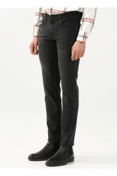 Normal Bel Normal Paça Slim Fit Gri Erkek Pantolon Pn2016600113 thumbnail 3