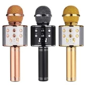 Orijinal Karaoke bluetooth mikrofon WSTER WS-858 Usb Ses Değiştir - 1