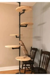 Dekoratif Borudan Kedi Merdiveni thumbnail 1