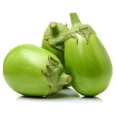 Apple Green Patlıcan Tohumu (15 tohum) - 1