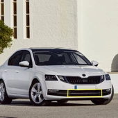 Skoda Octavia 2018-2020 Ön Tampon Orta Izgara Krom Çıtalı 5E0853677K - 1
