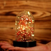 Periboia Led Işıklı Mini Ağaç Fanus Teraryum - 1