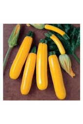Sarı Kabak Tohumu thumbnail 1