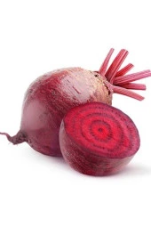 Kırmızı Pancar Tohumu thumbnail 1