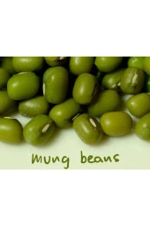 Maş Fasulye Tohumu thumbnail 2