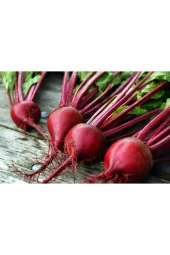 Kırmızı Pancar Tohumu thumbnail 2